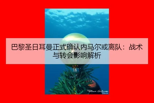 ba-li-sheng-ri-er-man-zheng-shi-que-ren-nei-ma-er-huo-li-dui-zhan-shu-yu-zhuan-hui-ying-xiang-jie-xi-2-466.jpg